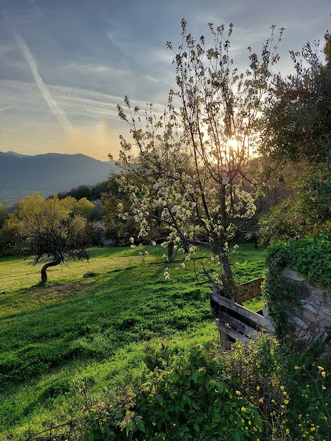 Agriturismo Giunasco