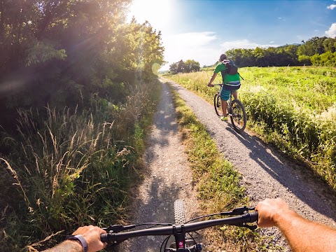 Wajdusna - Active tours and bike rentals in Vipava Valley