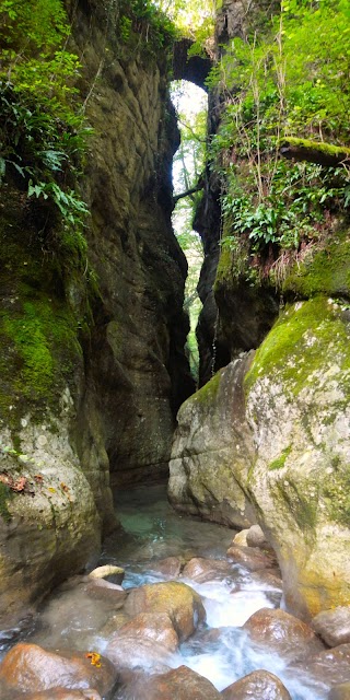 Guida alpina