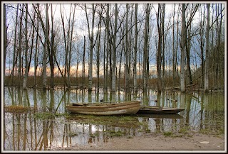 Area naturale La Monaca-Righetti