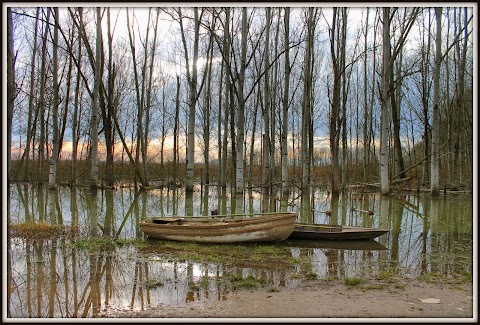 Area naturale La Monaca-Righetti