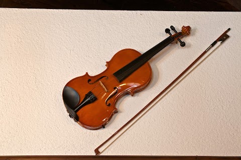 Hostaria Violina