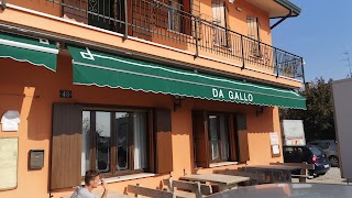 Da Gallo