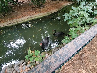 Parco del Tondo Bird Sanctuary