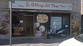 panificio la bottega del pane di NICASTRO FRANCESCA