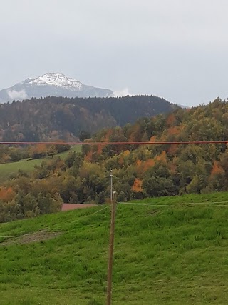 Bar Tazioli