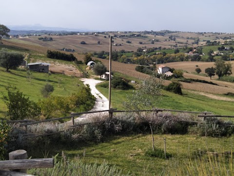 Ca di Luna - Asineria & Agricoltura Sociale