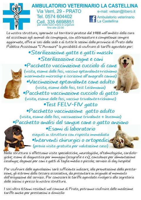 Ambulatorio Veterinario LA CASTELLINA Dottor Lorenzo Santini