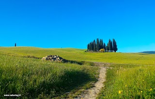 Naturing by Rudy Cucini - Slow Tuscany Experience