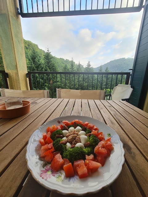 Il Bosco di Campo Marzano