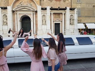 VIP LIMOUSINE