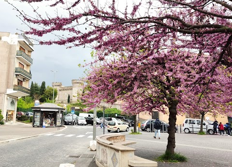 Convitto Nazionale Amedeo di Savoia Duca d'Aosta