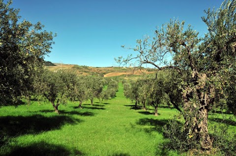 Azienda agricola Milazzo - Oleificio, shop prodotti tipici siciliani