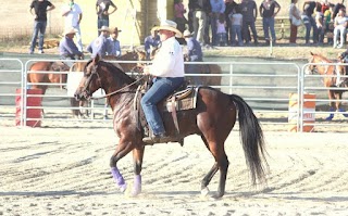 Asd Team Penning Rieti