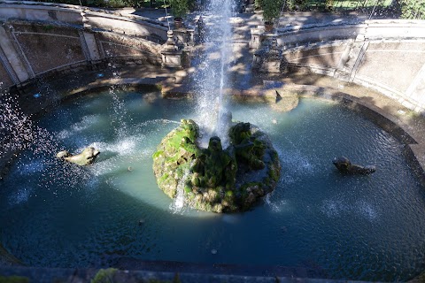 Fontana Dei Draghi