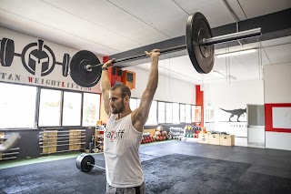 Palestra Playoff