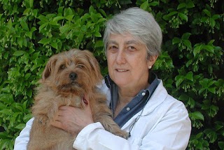 Studio Dermatologico Veterinario