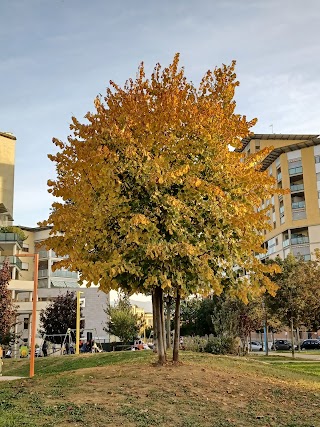 Area giochi del Parco Peccei