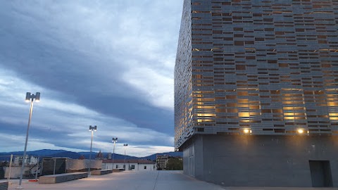 Teatro del Maggio Musicale Fiorentino