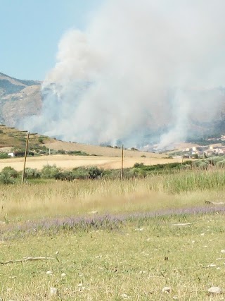 Societa' Per Lo Sviluppo Del Magazzolo Platani Spa