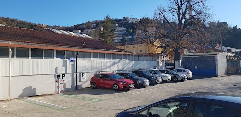 Sani Auto Trieste S.r.l. Service Partner Seat-Skoda-VW Veicoli Commerciali