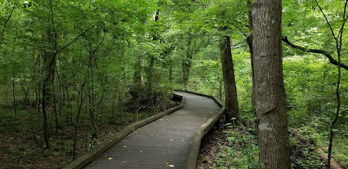 Flat Creek Nature Area