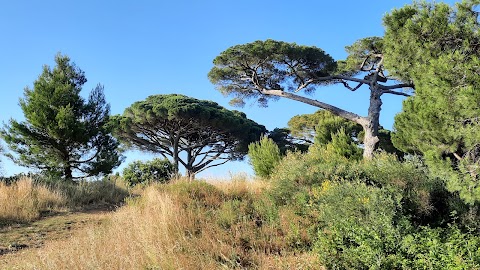 Parco di Colle Pardo