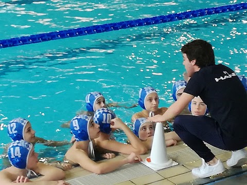 Stadio del Nuoto PalaEnel "Marco Galli" Civitavecchia