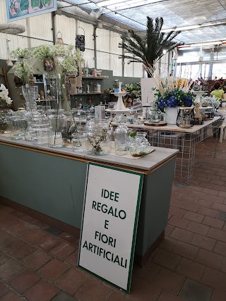 Floricoltura Fratelli Barbazza S.R.L.