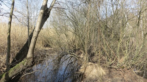 Centro Visita del Parco Naturale del Lago di Candia