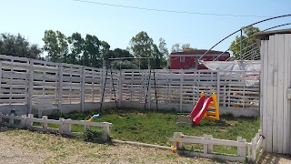 S.e.a.j. Ranch di Luciano Burderi - Scuola Di Equitazione, Addestramento Cavalli