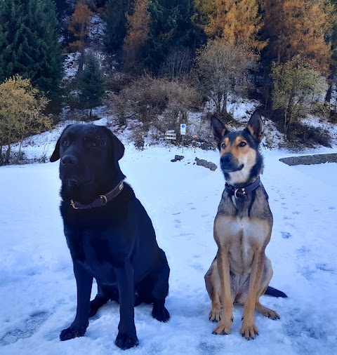 Centro Cinofilo Cane Amico Val di Sole