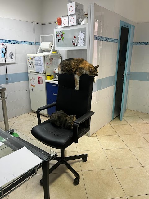 Ambulatorio Veterinario Dott. D'Amico