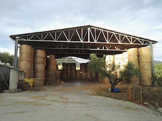 Allevamento E Macelleria Aziendale SILVESTRI