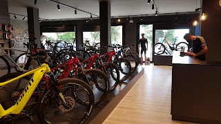 Cicli Argentin - Giant Store