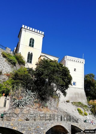 Castello Canevaro