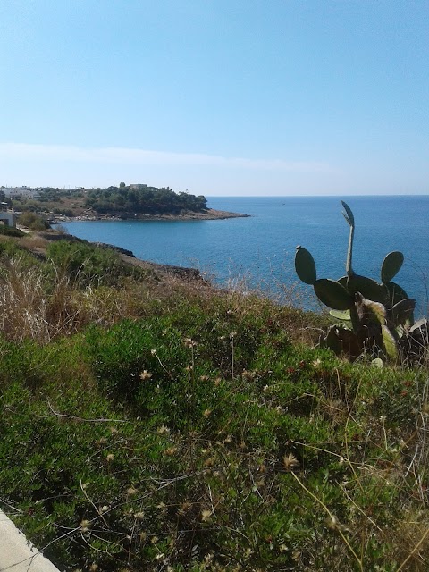 Coste del Sud Case Vacanza Salento