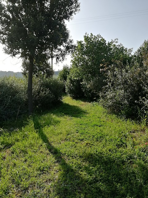 Riserva naturale integrale Grotta di Santa Ninfa