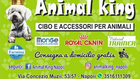 Animal King Napoli