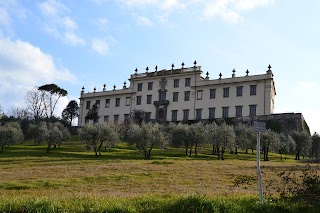 Scuola Superiore della Magistratura