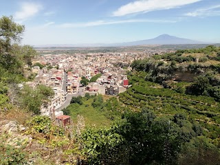 Visite Guidate Lentini e Sicilia - Corinne Valenti