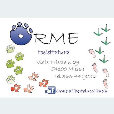 Orme Toelettatura