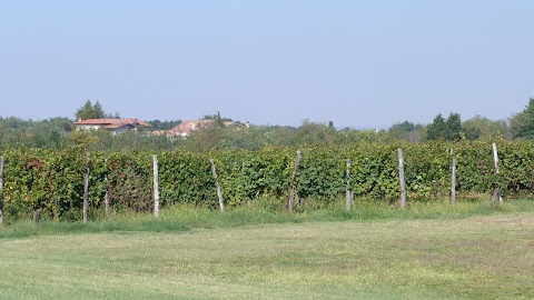 A. M. A. Az. Agrituristica di Burgazzi F. lli