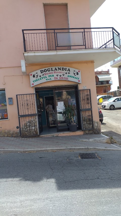 Doglandia Di Bonamano Maria Angela