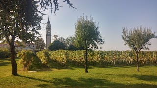 Azienda Vitivinicola Alla Campagnola Di Albanese Silvano