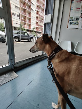 Centro Veterinario Aleandri