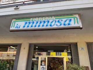 Fioreria La Mimosa Di Pregnolato Stefania