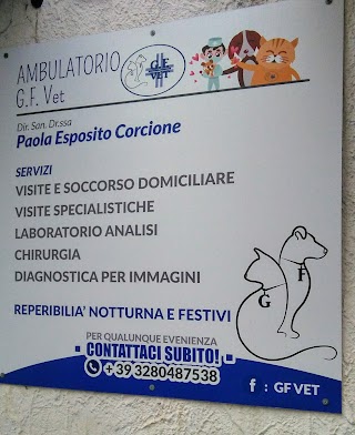 Gf Vet - Veterinario Napoli