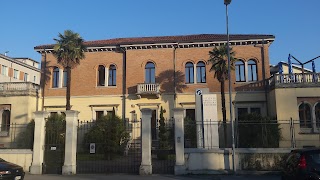 Istituto Veneto di Medicina Molecolare