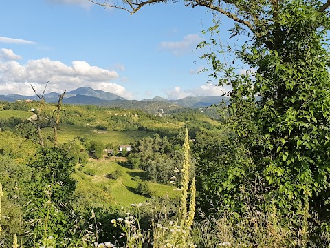 Agriturismo Il Burlino